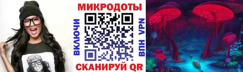 Галлюциногенные грибы Psilocybine cubensis купить наркоту Октябрьский